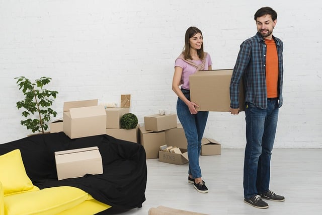 bay area long distance moving company