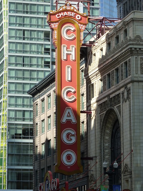 chicago long distance movers