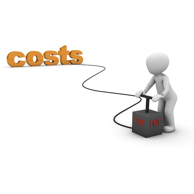 Cost of Long Distance Moves