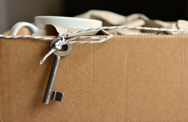 Professional Movers vs DIY: Optimizing Long-Distance Relocation Costs