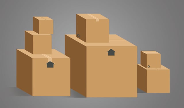 Unpacking the Best Full Service Movers in San Jose