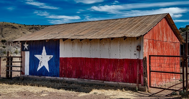 long distance movers texas