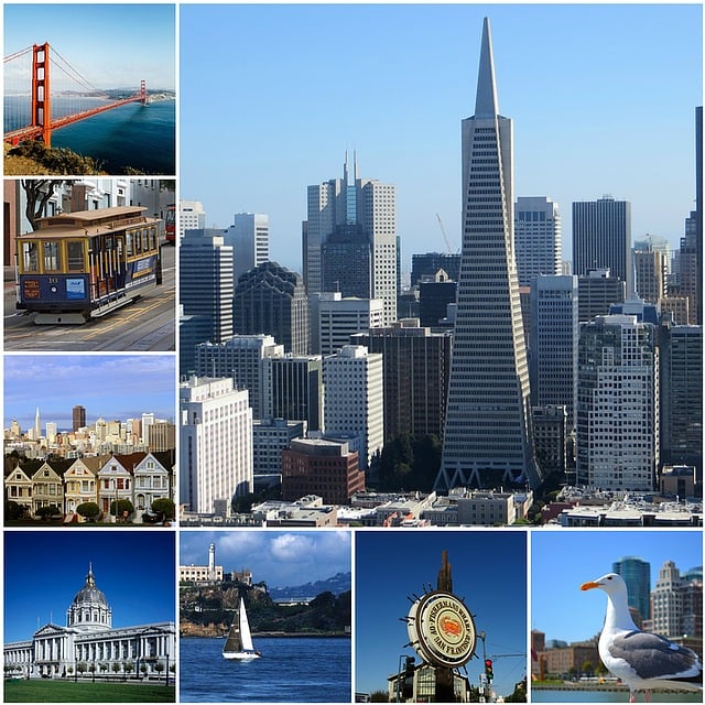 long distance moving companies san francisco