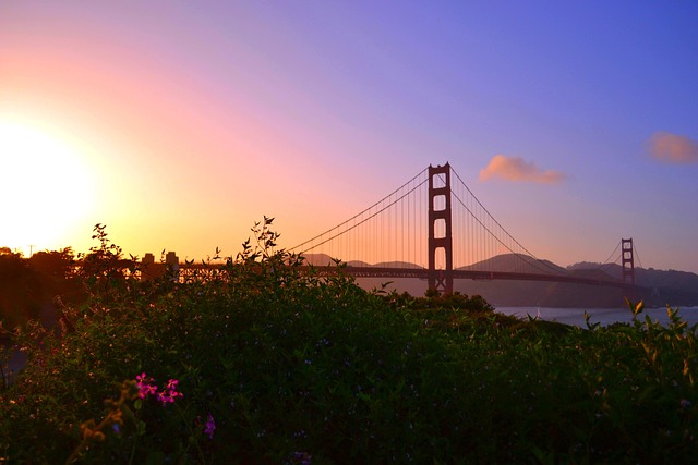 Long-Distance Moving Companies in San Francisco: Your Guide to Seamless Relocation