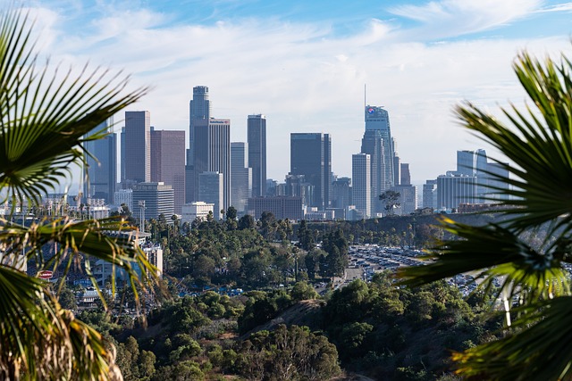 Los Angeles Movers: Simplifying Local and Long-Distance Relocations