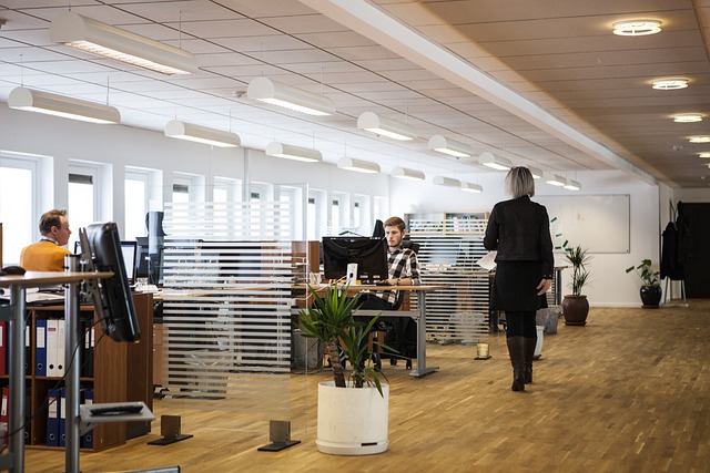 Unlock Seamless Office Moves: Full-Service Companies for Every Need