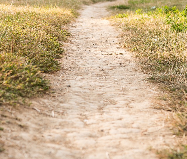 distance long movers