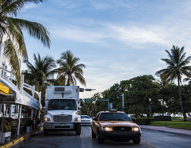 Unstressful Moves: Top Long Distance Movers Miami for Every Need