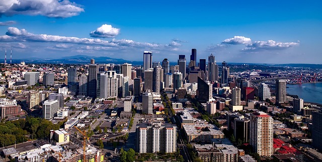 Seamless Seattle Moves: Leveraging Online Reviews for Long Distance Movers