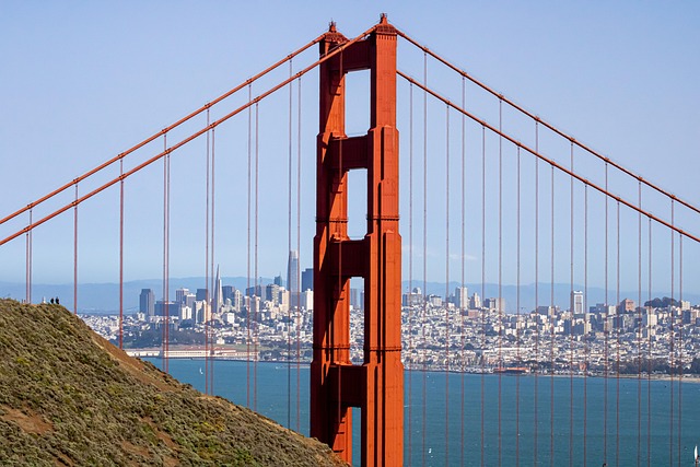 Professional Long-Distance Moving Services in San Francisco: Top Companies & Tips for Choosing