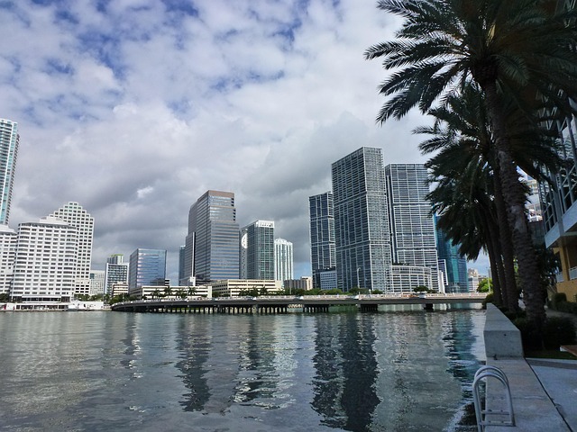 Miami Long Distance Movers: Navigating Local vs. National Services for Seamless Transfers