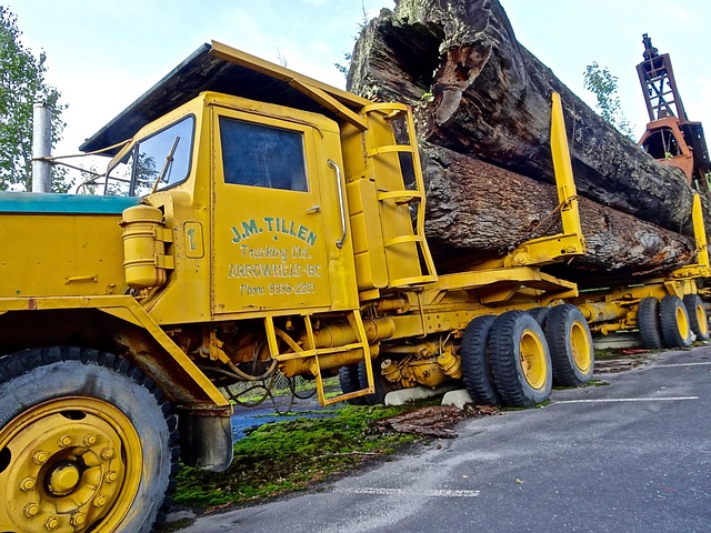 Cost-Effective Long-Distance Moves: Small Load Interstate Movers