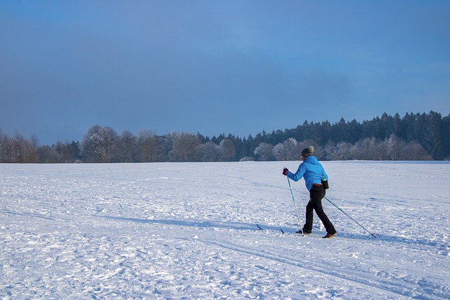 small cross country moves