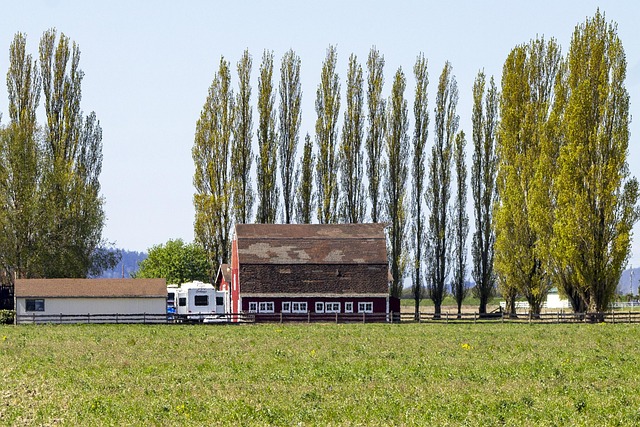 small load movers out of state