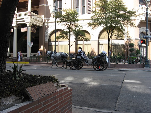 long distance movers austin