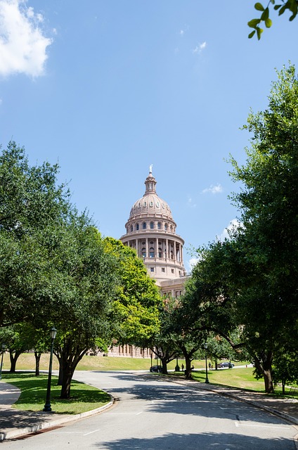 long distance movers austin