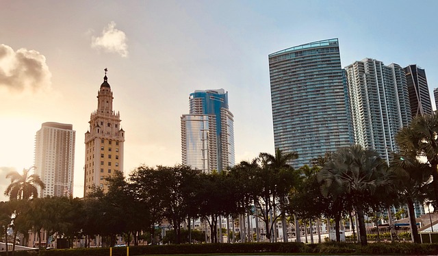 miami long distance movers