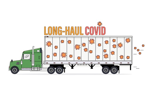 recommended long distance movers