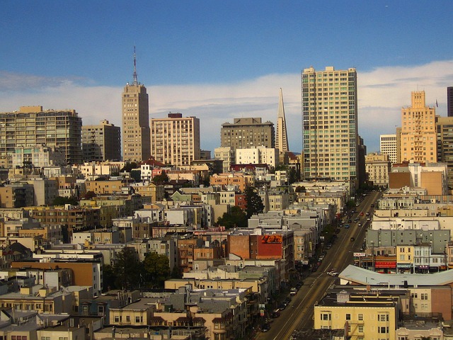 San Francisco Long Distance Movers: Top Full-Service Options for Seamless Moves