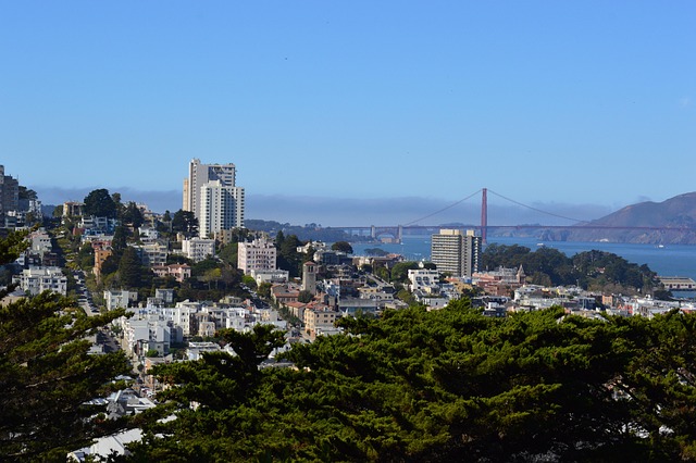 San Francisco Long Distance Movers: Navigating Your Move with Professionals